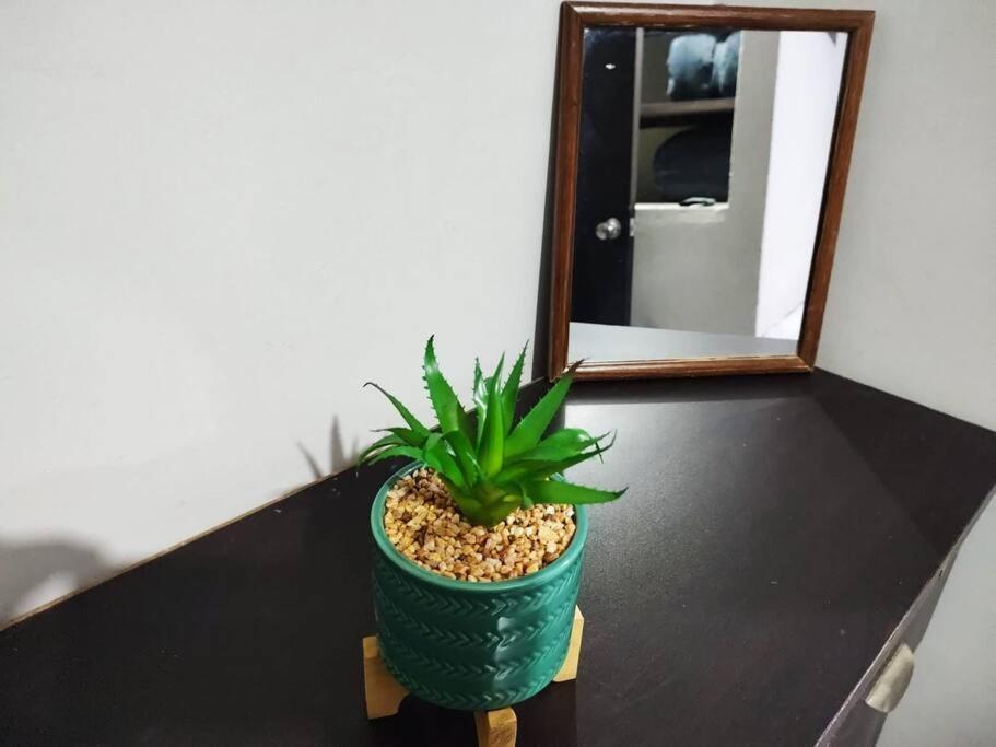 Appartamento Hermoso Departamento Centrico Con Servicios Tequila Esterno foto